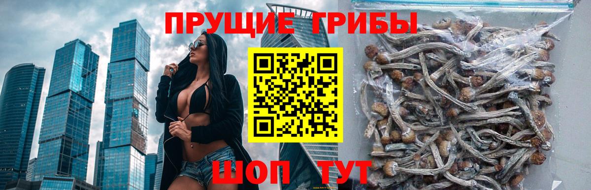 Псилоцибиновые грибы GOLDEN TEACHER Чебаркуль