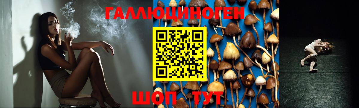 Псилоцибиновые грибы Psilocybe  Вход с VPN  Чебаркуль 